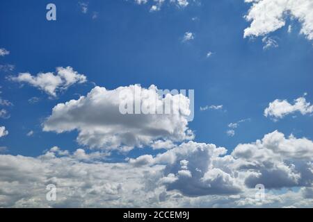 Bulbous and billowing white and dark grey clouds in the blue sky. Cumulus clouds are clouds which have flat bases and are often described as `puffy` Stock Photo